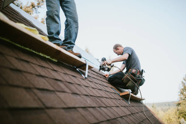 Quick and Trustworthy Emergency Roof Repair Services in Biltmore Forest, NC
